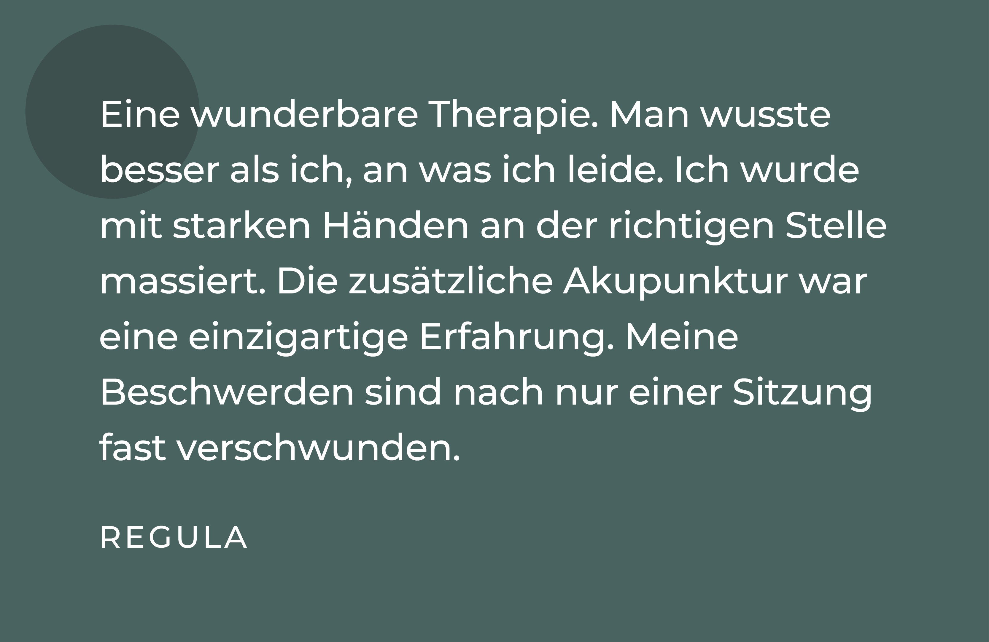 TCM Referenz Schlieren 4