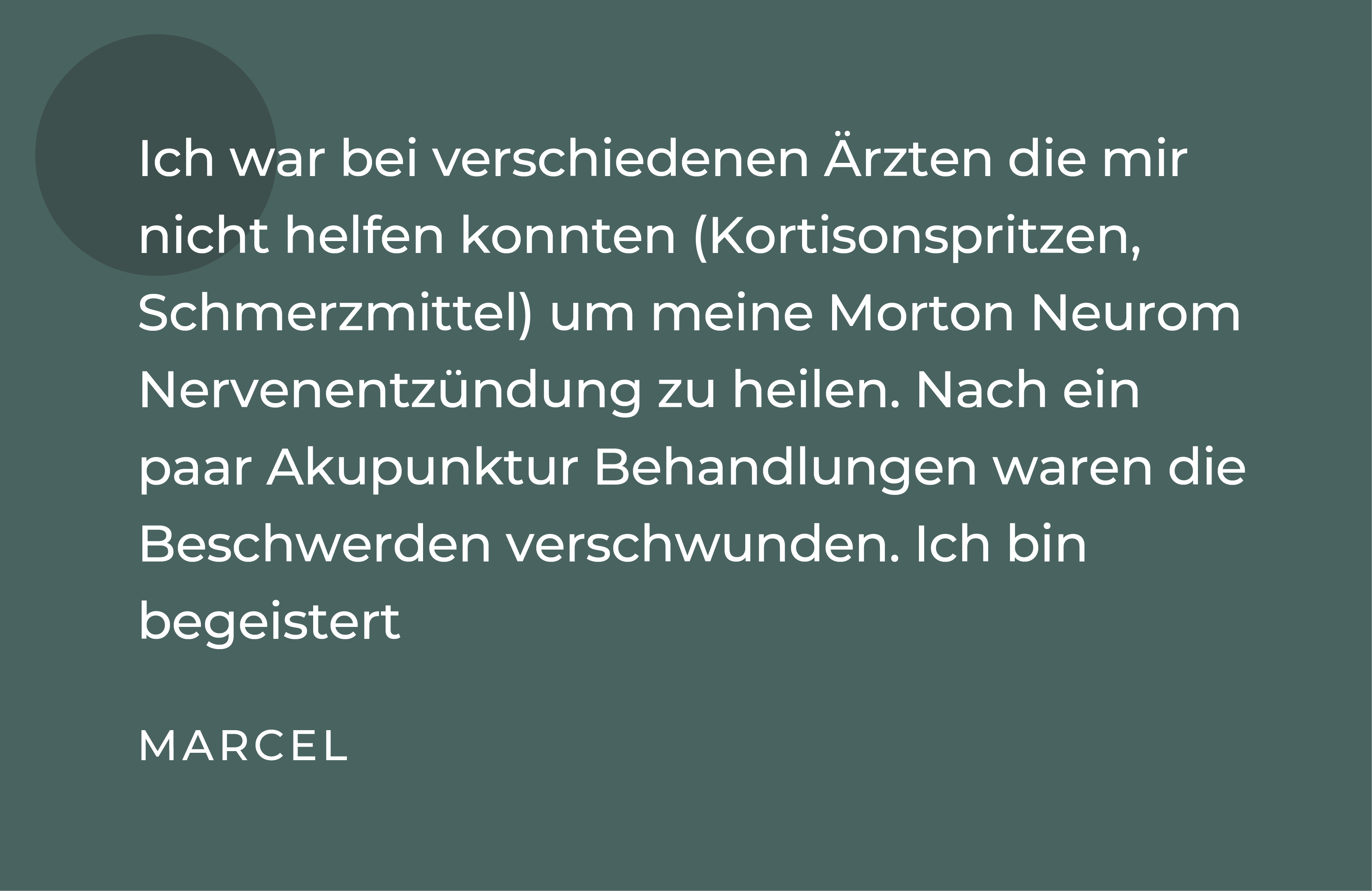 TCM Referenz Schlieren 5