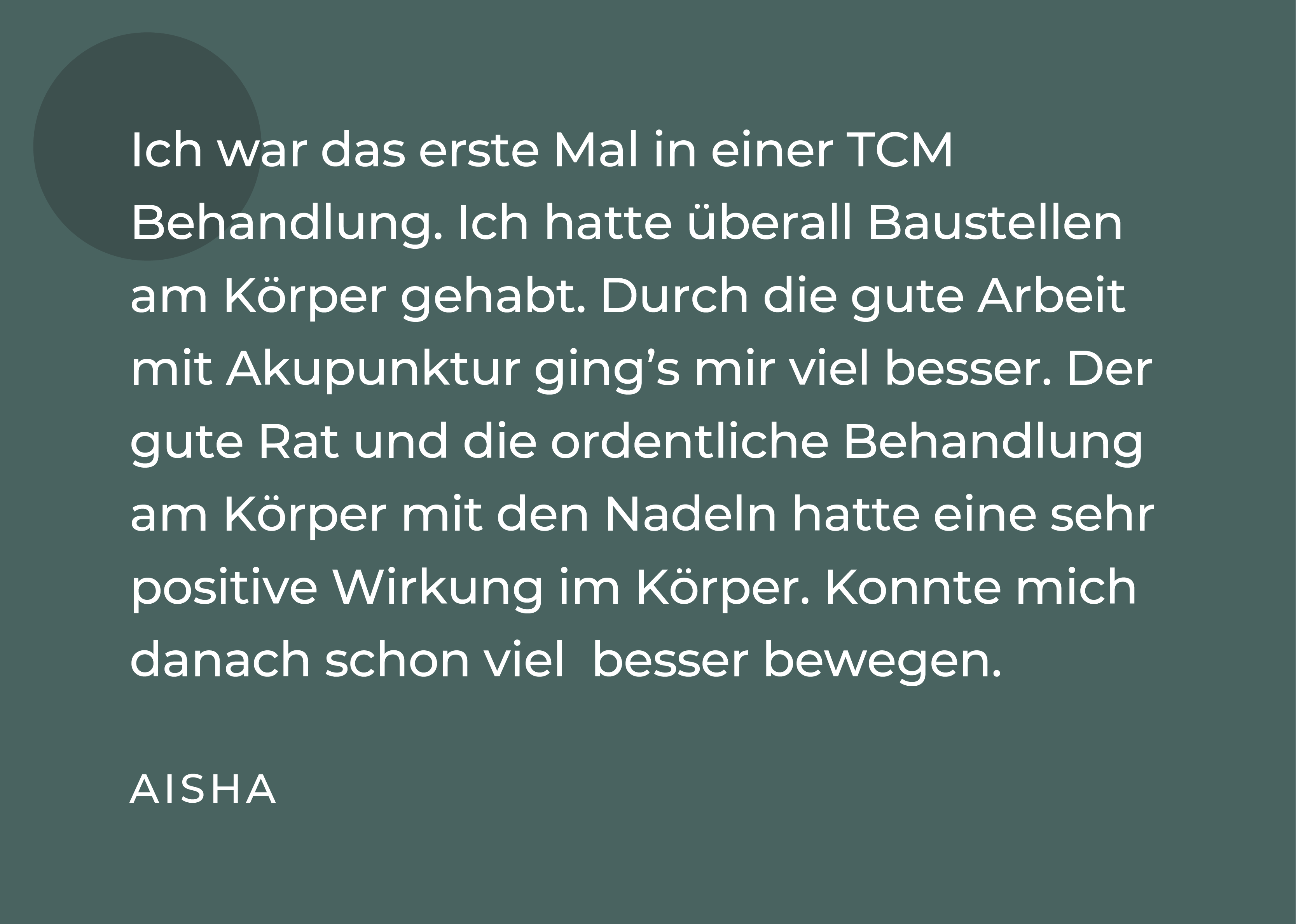 TCM Referenz Schlieren 6